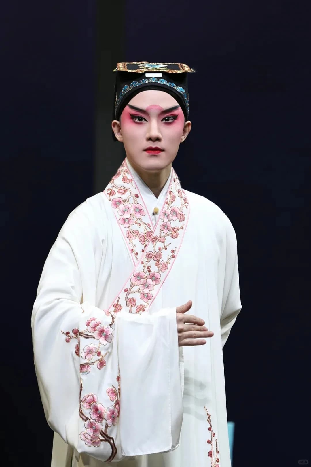 罗轩 封面